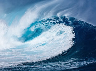 Physical Science: Wave