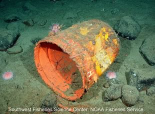 Biodiversity and Humans: Plastic Bucket Marine Debris